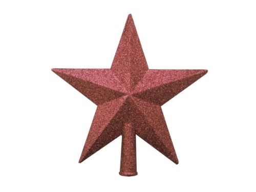 GWIAZDA_21_8.jpg